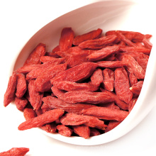 Ningxia Goji Berry graines de Nèfle chinoises